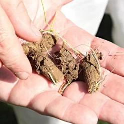 Brinly Tow-Behind Plug Aerator -Beautiful Garden pa48 3