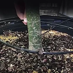 Dramm Pressure Compensating Dribble Rings 8-1/2 In Diameter, Pack Of 25 7 Dramm Pressure Compensating Dribble Rings 8-1/2 In Diameter, Pack Of 25 -Beautiful Garden pcr085 8 live