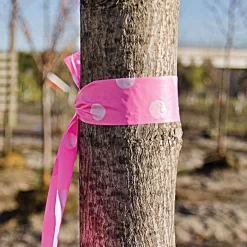 Glo-Pink With White Polka Dots Tagging Tape, Box Of 12 Rolls -Beautiful Garden pd p 2wb 1 1