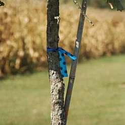 Blue With Black Polka Dots Tagging Tape, Box Of 12 Rolls -Beautiful Garden pdm 3b 2 1