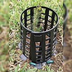 Plant Knight Plant And Tree Guard -Black - 9 Pack -Beautiful Garden pkbl3 live sapling 1