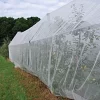 Proteknet Insect Netting, 21 Ft. X 328 Ft.
