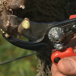 Bahco; Professional Ergonomic Pruners, 1.25-inch Cutting Capacity 11 Bahco; Professional Ergonomic Pruners, 1.25-inch Cutting Capacity -Beautiful Garden pxl3 5