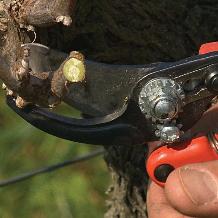 Bahco; Professional Ergonomic Pruners, 1.25-inch Cutting Capacity 6 Bahco; Professional Ergonomic Pruners, 1.25-inch Cutting Capacity - Image 6