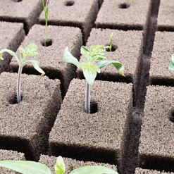 OASIS Grower Solutions Horticubes XL Foam Medium, 276 Cell -Beautiful Garden rc104 2 4