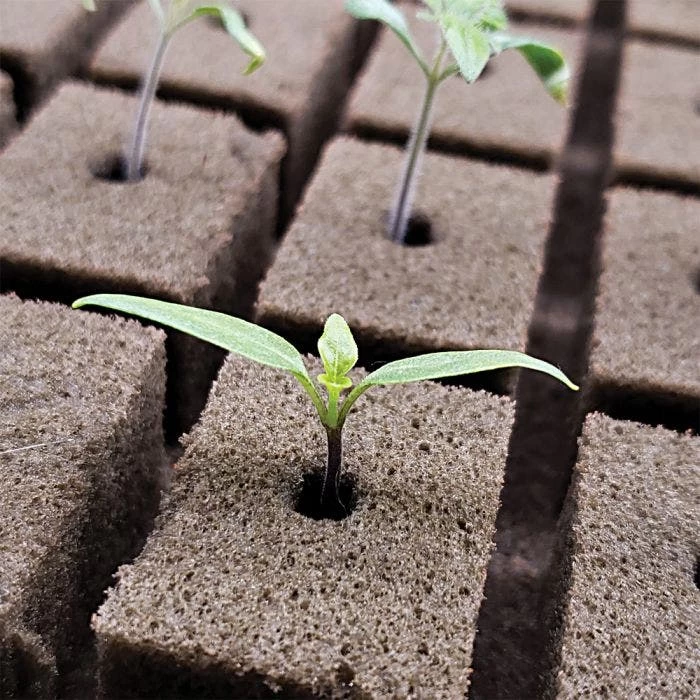 OASIS Grower Solutions Rootcubes, 104 Ct 4 OASIS Grower Solutions Rootcubes, 104 Ct - Image 4