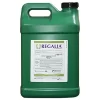 Regalia; Organic Bio-Fungicide