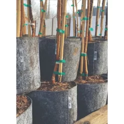 Charcoal Line Root Pouch Bales, 12-18 Months, 3 Gallon -Beautiful Garden rp318 stacked 1 1