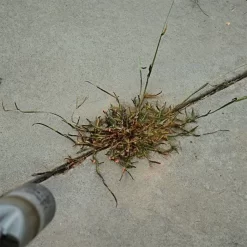 Red Dragon; 400,000 BTU Torch Kit 11 Red Dragon; 400,000 BTU Torch Kit -Beautiful Garden t230 6