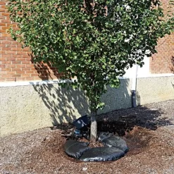 TreeDiaperĀ® 48", Round