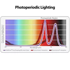 TotalGrow Pure Flowering 200 Lamp -Beautiful Garden tg1a4 2