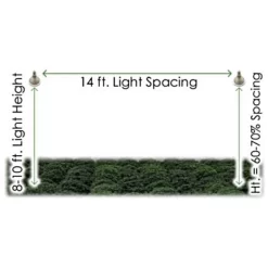TotalGrow Pure Flowering 200 Lamp -Beautiful Garden tg1a4 4
