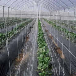 Hortonova Trellis Netting, 5 Feet X 328 Feet -Beautiful Garden tn5328 6