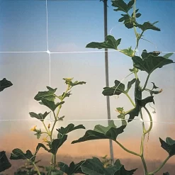 Hortonova Trellis Netting, 6-1/2 Feet X 15 Feet -Beautiful Garden tn615 11