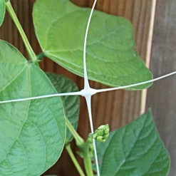 Hortonova Trellis Netting, 6-1/2 Feet X 15 Feet -Beautiful Garden tn615 3