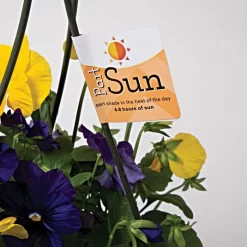 Sunlight Requirement Adhesive Labels, Partial Sun, 4 In. X 2 In. -Beautiful Garden ul2026 2