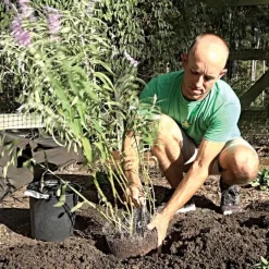 Vole King 1-Gallon Plant Baskets, Pack Of 4 -Beautiful Garden vk1g 2