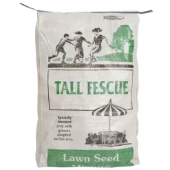 Turf Type Tall Fescue