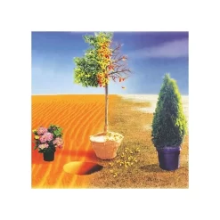 BioPlex Transplant Concentrate & Plant Enhancer