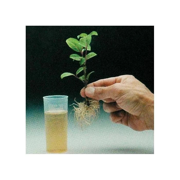 Dip N Grow Rooting Concentrate 2 Dip N Grow Rooting Concentrate - Image 2