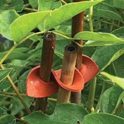 Connectors For Bamboo Stakes Pack Of 500 -Beautiful Garden vp gc500x 2