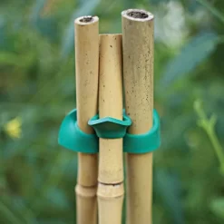 Connectors For Bamboo Stakes Pack Of 500 -Beautiful Garden vp gc500x 4