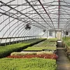 Poly Grow UVA Suncover 4yr 6mil Clear 28' X 30'
