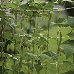 Hortonova Trellis Netting -Beautiful Garden vp tnx 6