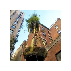 Tree Tote Plant Lift Sling 7 Tree Tote Plant Lift Sling -Beautiful Garden vp ttls 3