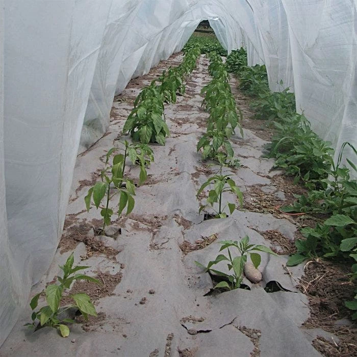 Biodegradable Paper Mulch, 4 Feet By 250 Feet 2 Biodegradable Paper Mulch, 4 Feet By 250 Feet - Image 2