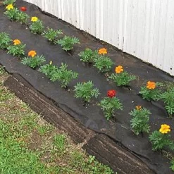 Biodegradable Paper Mulch, 4 Feet By 250 Feet 15 Biodegradable Paper Mulch, 4 Feet By 250 Feet -Beautiful Garden wg48250f 6