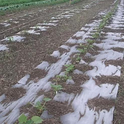 Biodegradable Paper Mulch, 4 Feet By 250 Feet 17 Biodegradable Paper Mulch, 4 Feet By 250 Feet -Beautiful Garden wg48250f 8