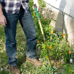 Beautiful Garden -Beautiful Garden wwata 1