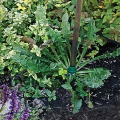 Weed Wand Magic Applicator With 3 Replacement Tips -Beautiful Garden wwata 3