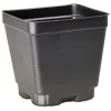 Landmark 4-in Square Press Fit Pots, Case Of 450