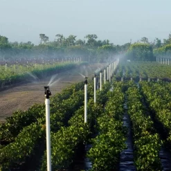 Wobbler Sprinkler Max Coverage 1/2in Standard 44.5-53.5 @ 1.5ft Above Crop Spray Diameter -Beautiful Garden xc10 12 2