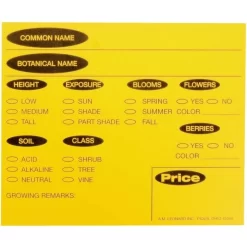 7in X 5in Plastic Preprinted Yellow Cards